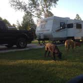 Review photo of Hy-Land Court RV Park by Kyle H., June 12, 2018