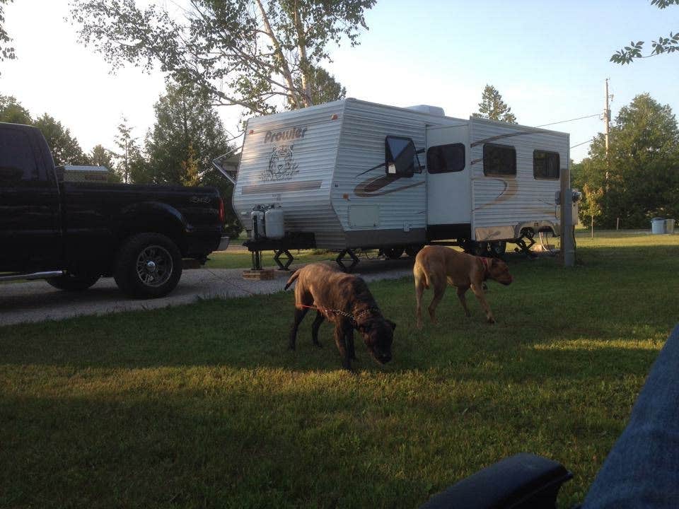 Camper submitted image from Hy-Land Court RV Park - 2