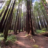 Review photo of Florence Keller Regional Park by Moni R., July 3, 2021