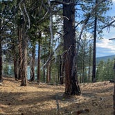 Review photo of Butte Lake Campground — Lassen Volcanic National Park by Moni R., July 3, 2021