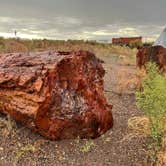 Review photo of Crystal Forest Museum and Gifts by Thomas W., July 3, 2021