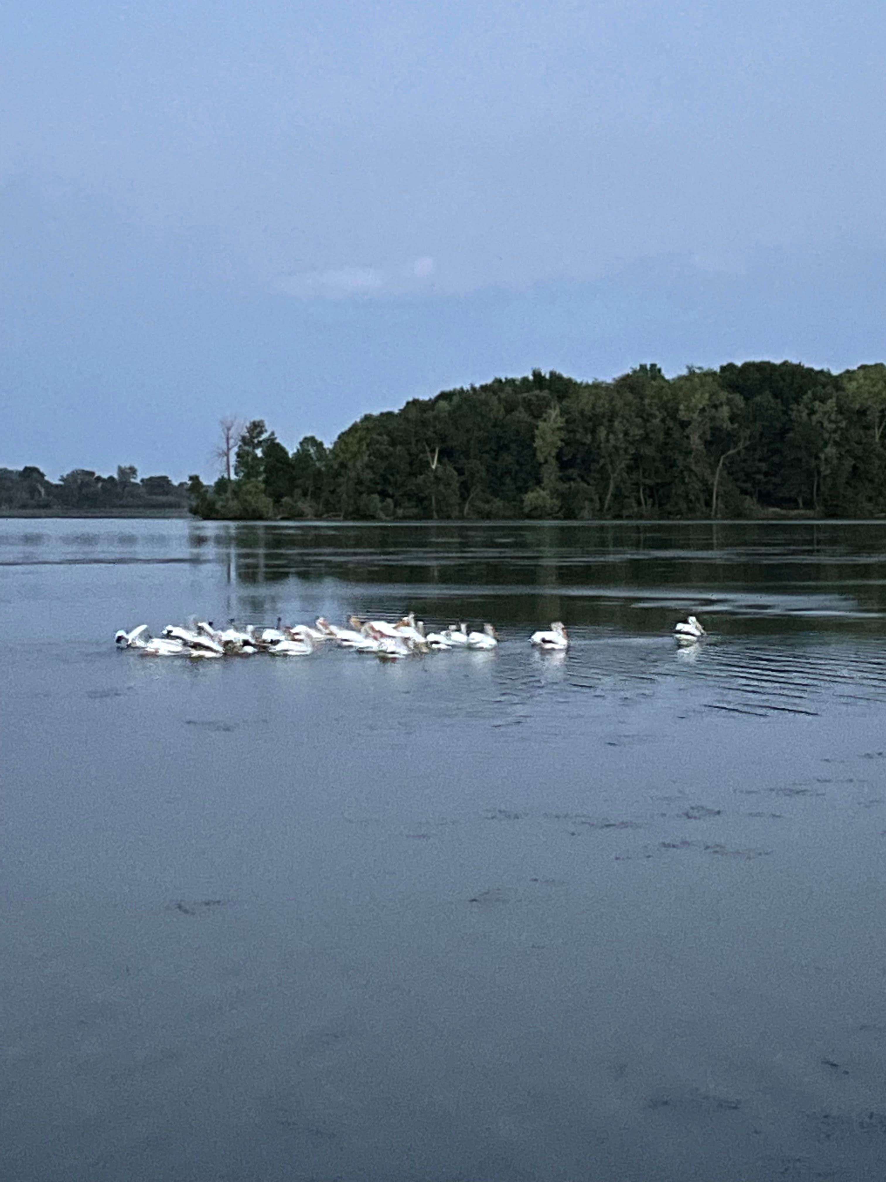 Camper submitted image from Backpacking Sites — Myre-Big Island State Park - 3