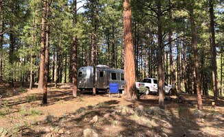 Taylor B.'s photo at Dispersed on 4 - Fenton Lake State Park in New Mexico