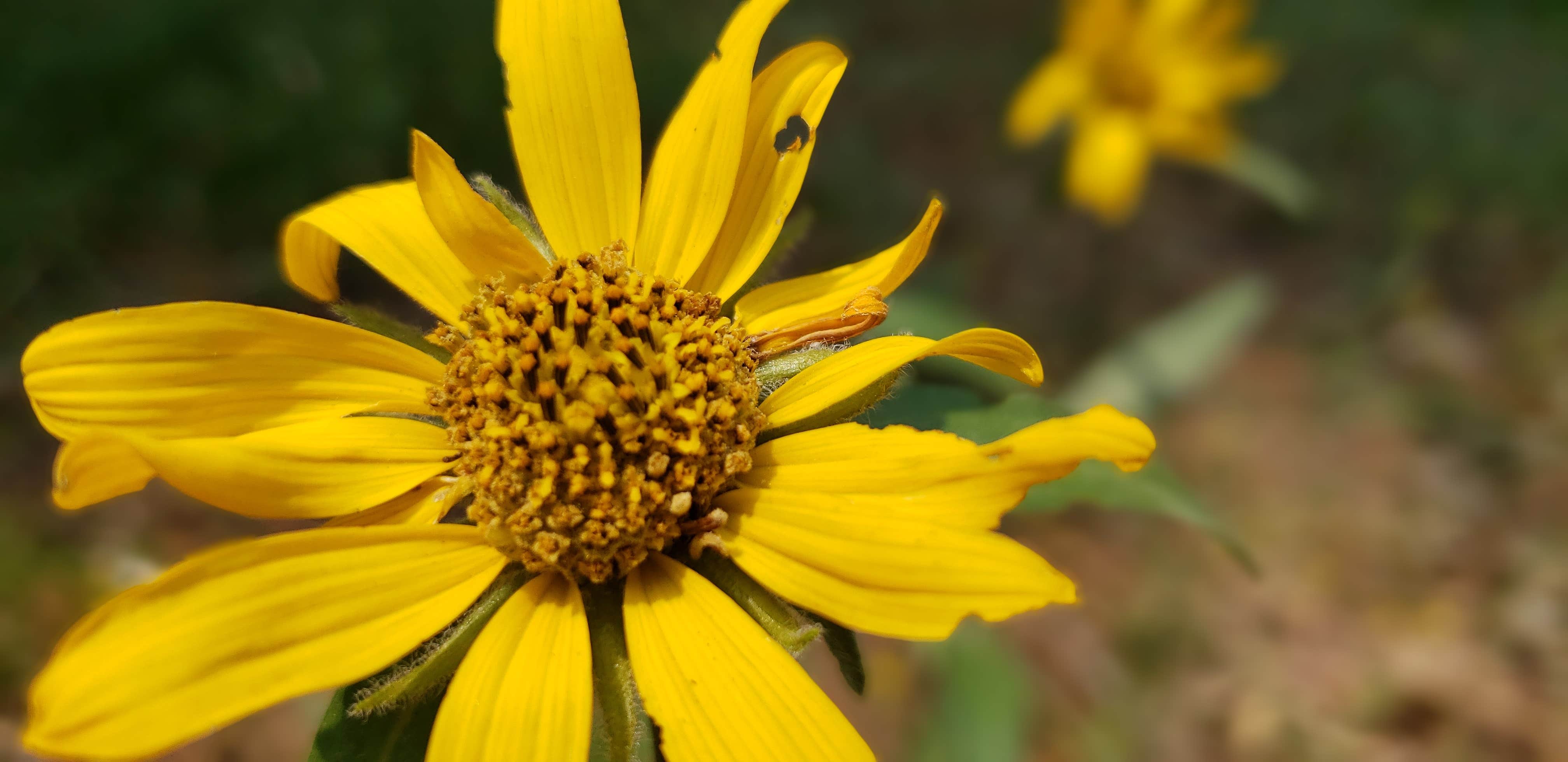 Camper-submitted photo at Penland Lake near Kimberly, OR