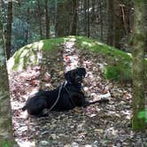 Review photo of Stillwater State Park Campground by Kelli M., June 12, 2018