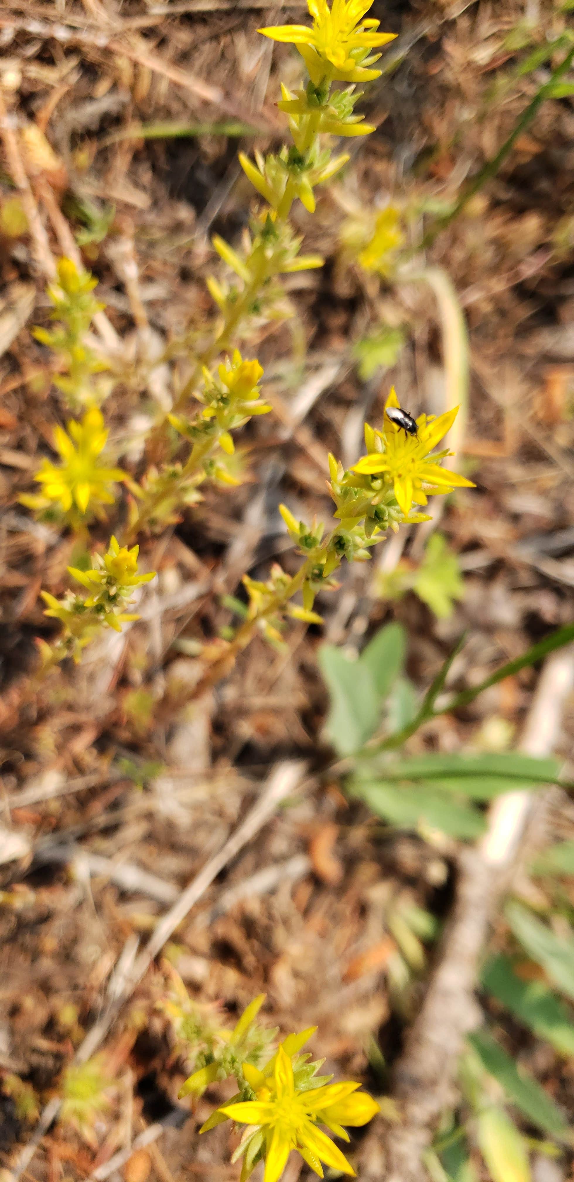 Camper-submitted photo at Penland Lake near Kimberly, OR
