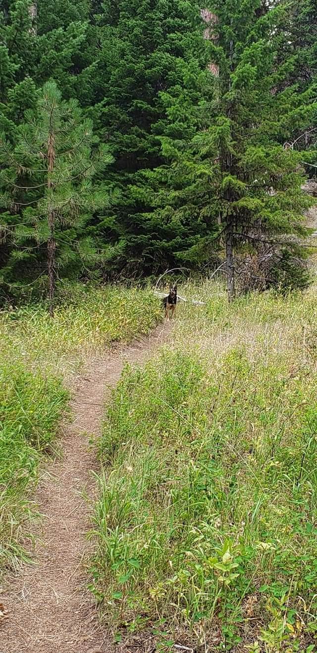 Camping near Anson Wright Memorial Park: Coalmine Hill, Heppner, Oregon