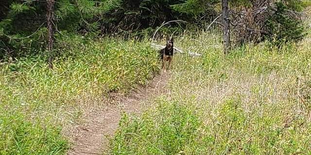 Camper submitted image from Coalmine Hill