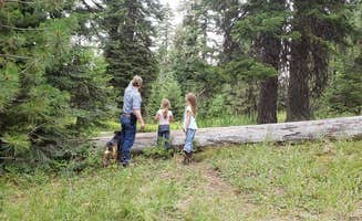 Ashton B.'s photo of camping with pets at Coalmine Hill near Mikkalo, OR