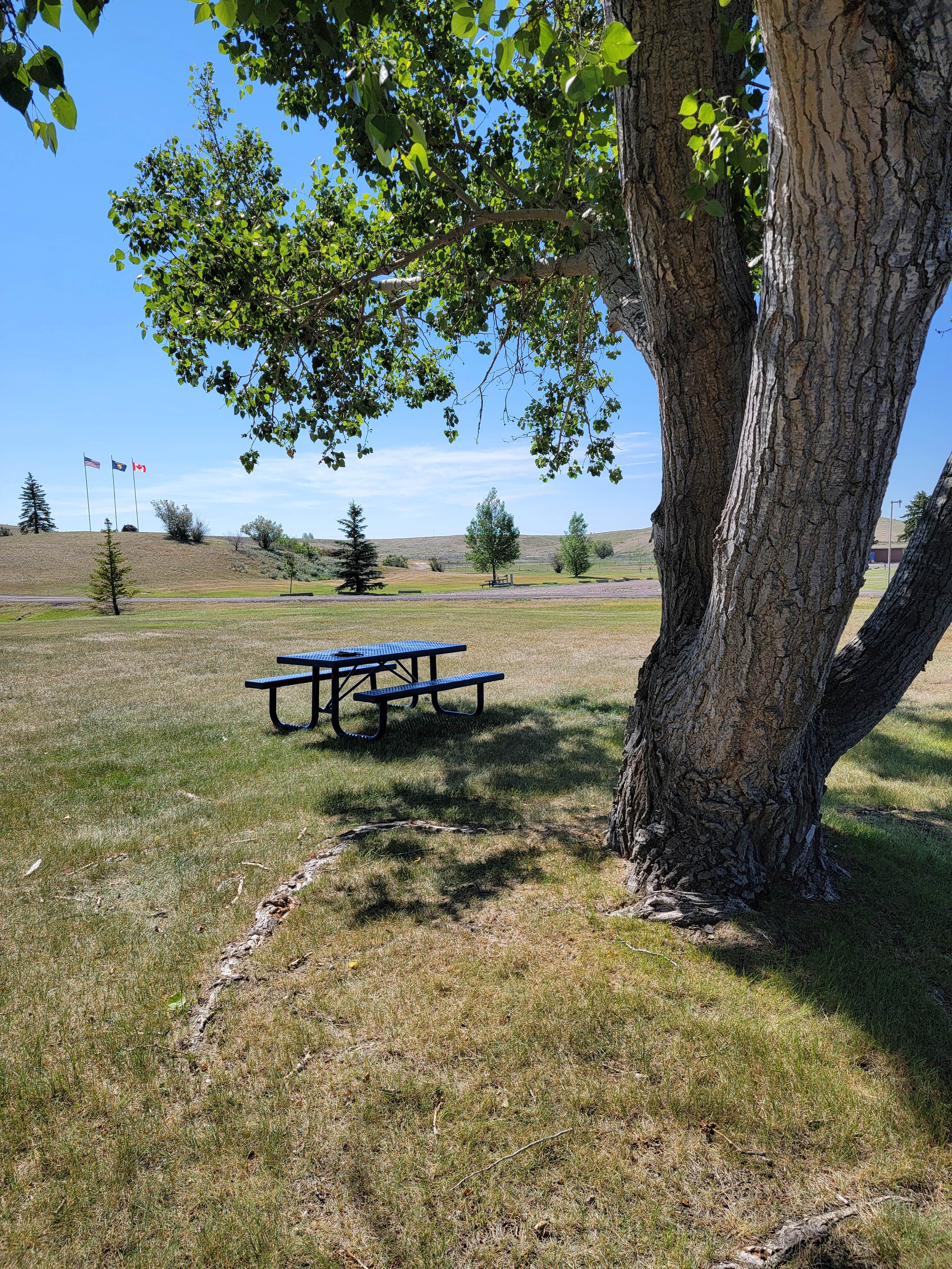 Camper-submitted photo at Shelby RV Park & Resort near Sweet Grass, MT