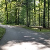 Review photo of Mammoth Cave Campground — Mammoth Cave National Park by Katrin M., July 3, 2021