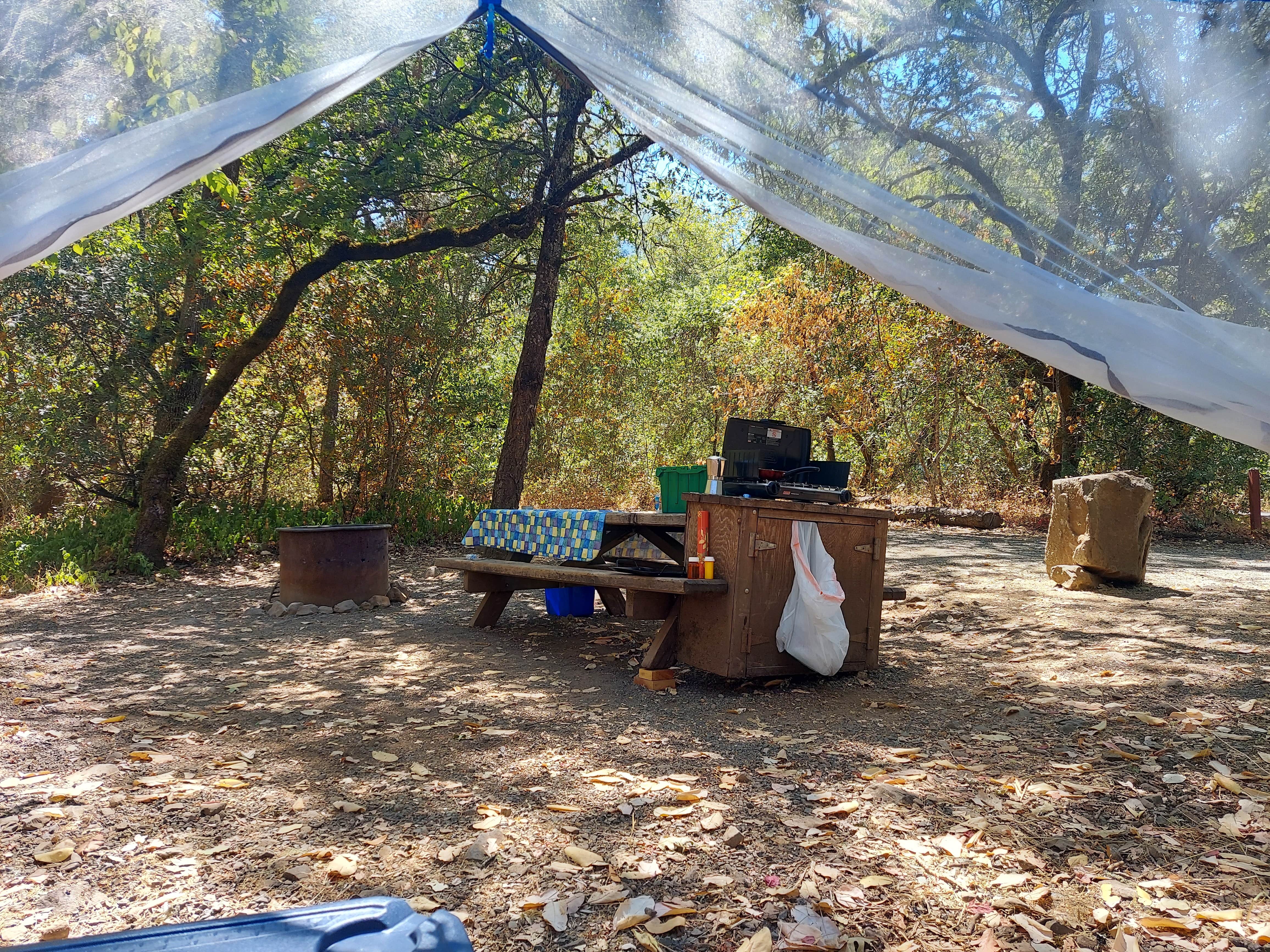 Claudia J.'s photo at Ritchey Creek Campground — Bothe-Napa Valley State Park near Winters, CA