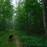 Review photo of Blue Mound State Park Campground by Debra M., July 3, 2021