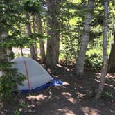 Review photo of Dixie National Forest Te-ah Campground by Laney S., June 12, 2018