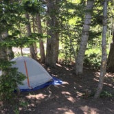 Review photo of Dixie National Forest Te-ah Campground by Laney S., June 12, 2018
