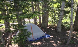 Laney S.'s photo at Dixie National Forest Te-ah Campground near Cedar City, UT
