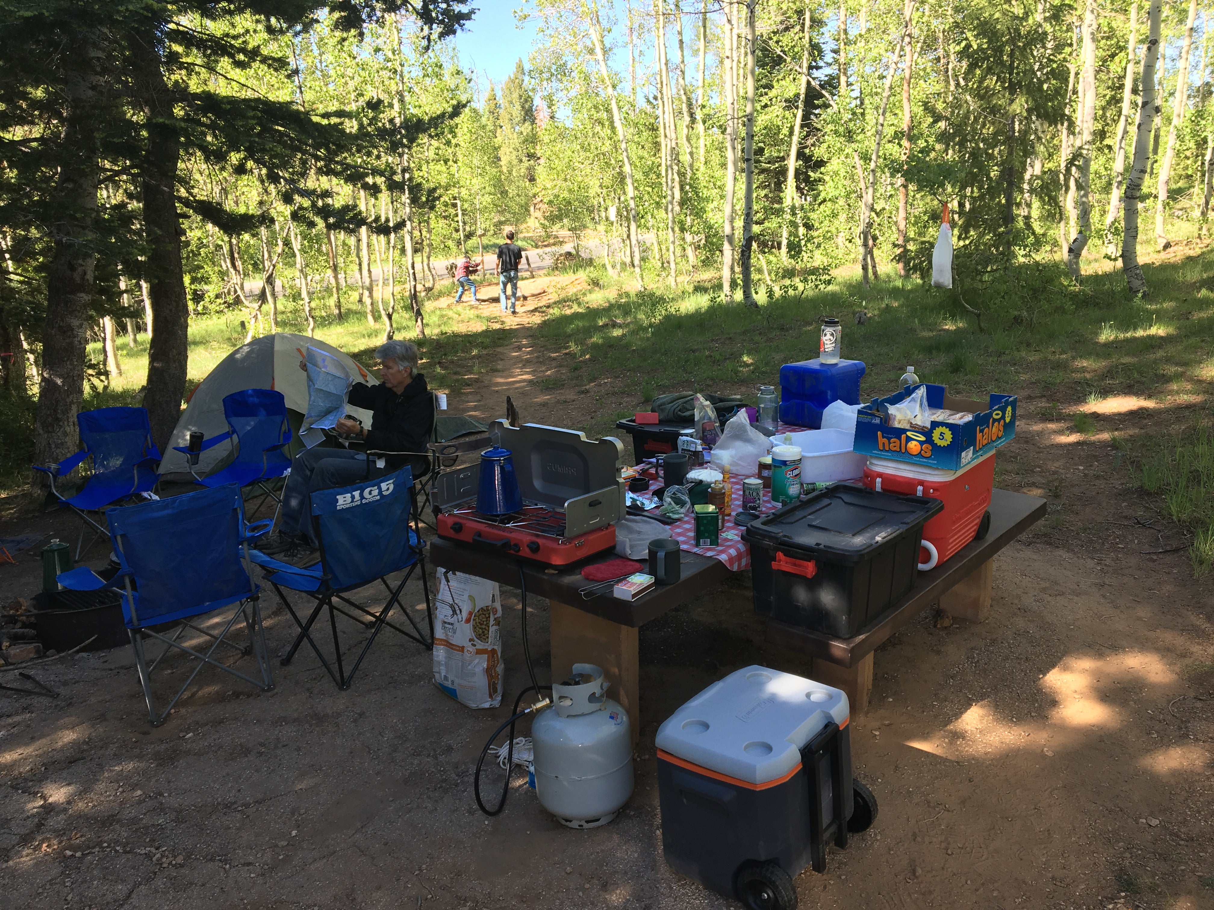 Camper submitted image from Dixie National Forest Te-ah Campground - 4