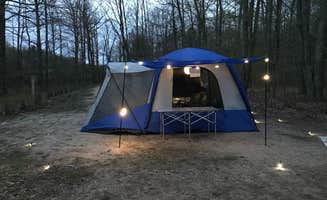 Agapes D.'s photo of a dispersed camping area at Huron-Manistee National Forest near Frederic, MI