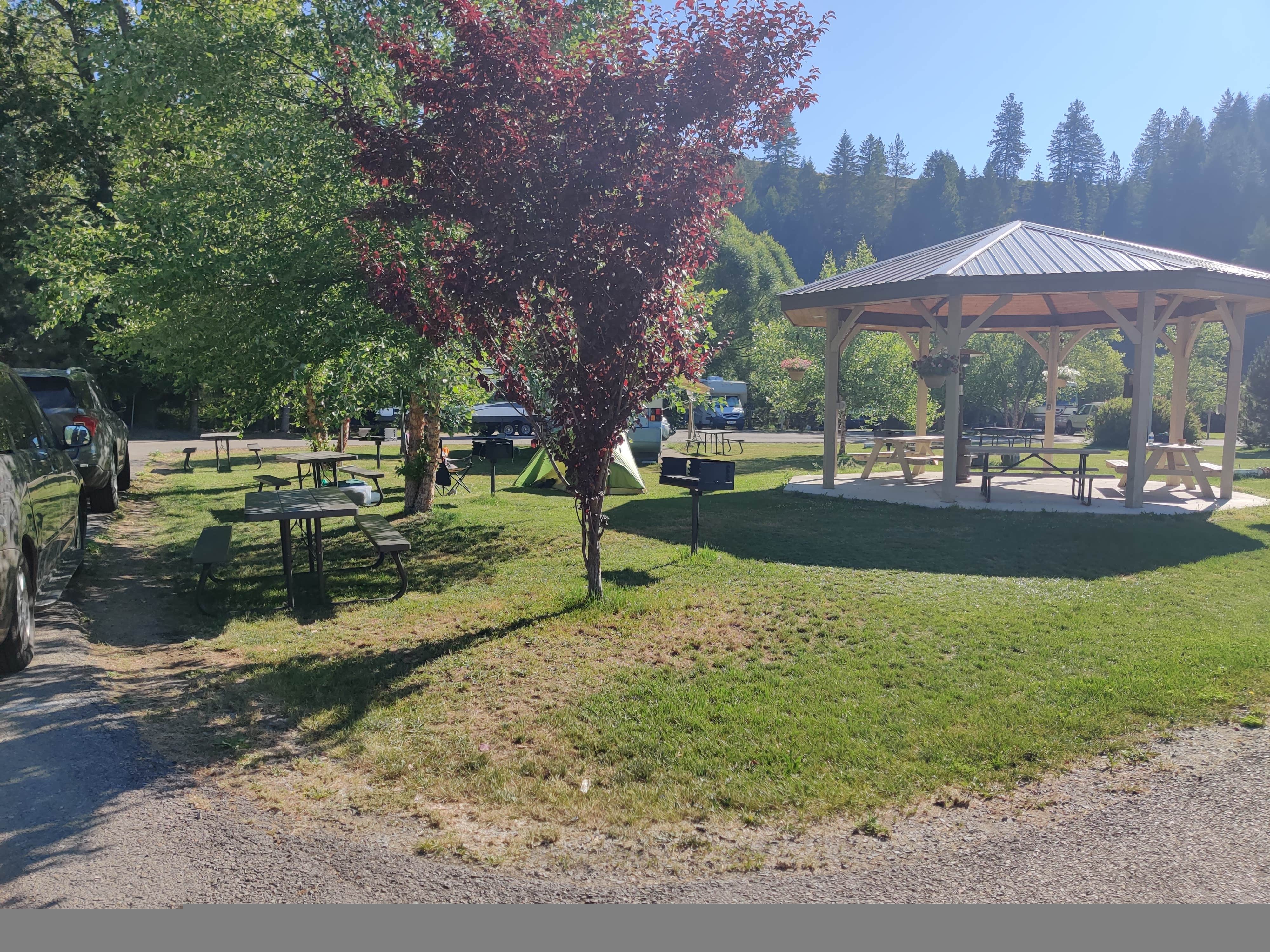 Camper-submitted photo at By the Way Campground near Wallace, ID