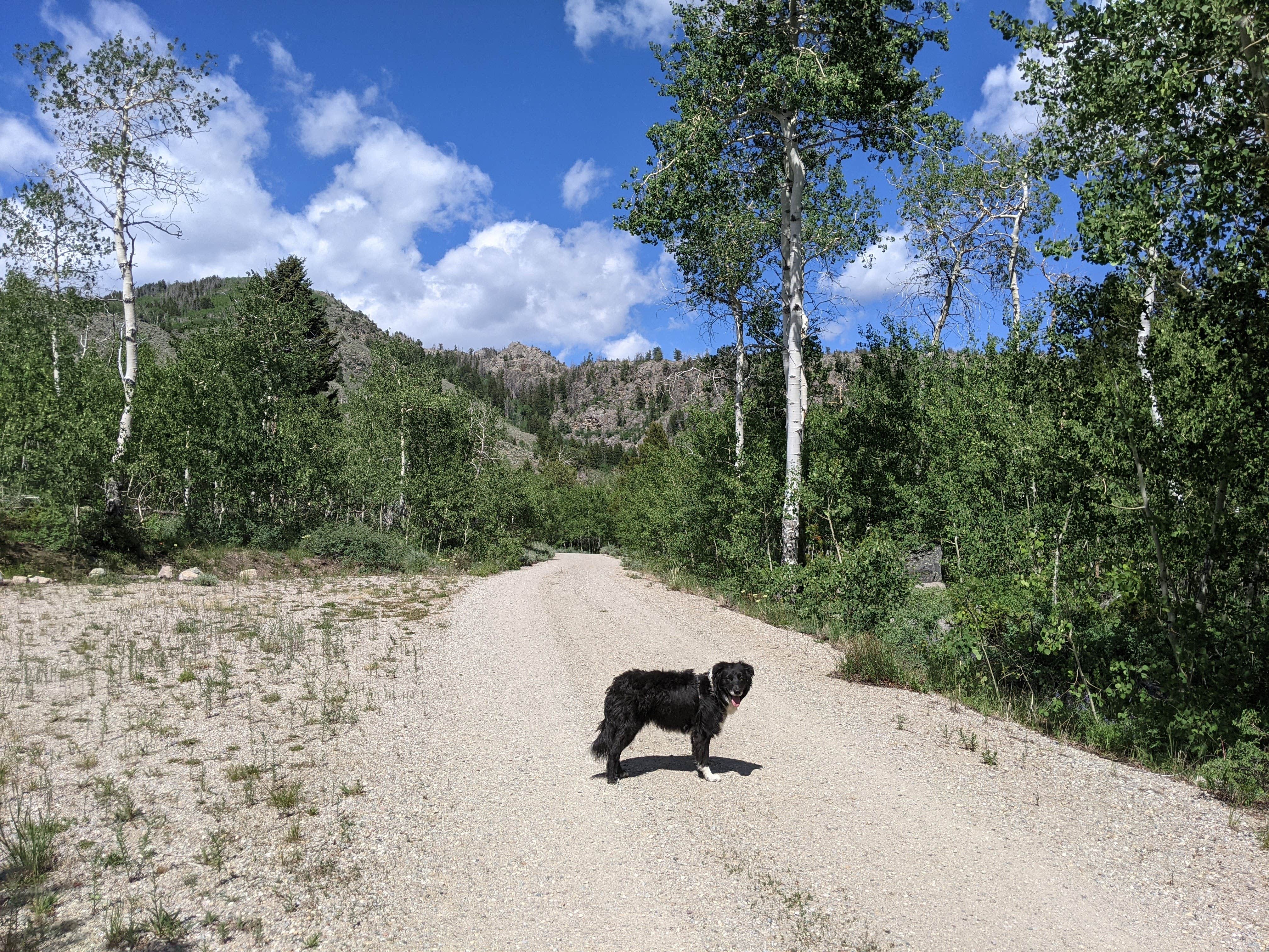 Camper-submitted photo at Scab Creek Small Vehicle Campground near Boulder, WY