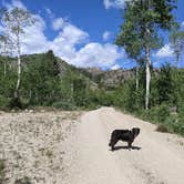 Review photo of Scab Creek Small Vehicle Campground by Greg L., July 3, 2021