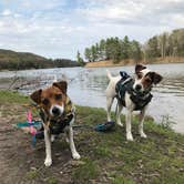 Review photo of Huron-Manistee National Forest by Agapes D., June 12, 2018