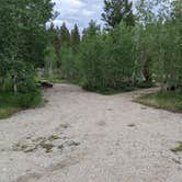 Review photo of Scab Creek Small Vehicle Campground by Greg L., July 3, 2021