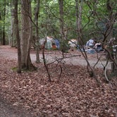 Review photo of Pohick Bay Campground by Kelsey K., July 4, 2021