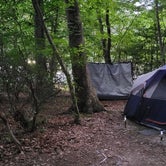 Review photo of Pohick Bay Campground by Kelsey K., July 4, 2021
