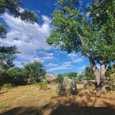 Review photo of Green River Campground — Dinosaur National Monument by Blacks O., July 4, 2021