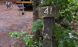 Cheryl W.'s photo of camping with pets at Ammonoosuc Campground in New Hampshire