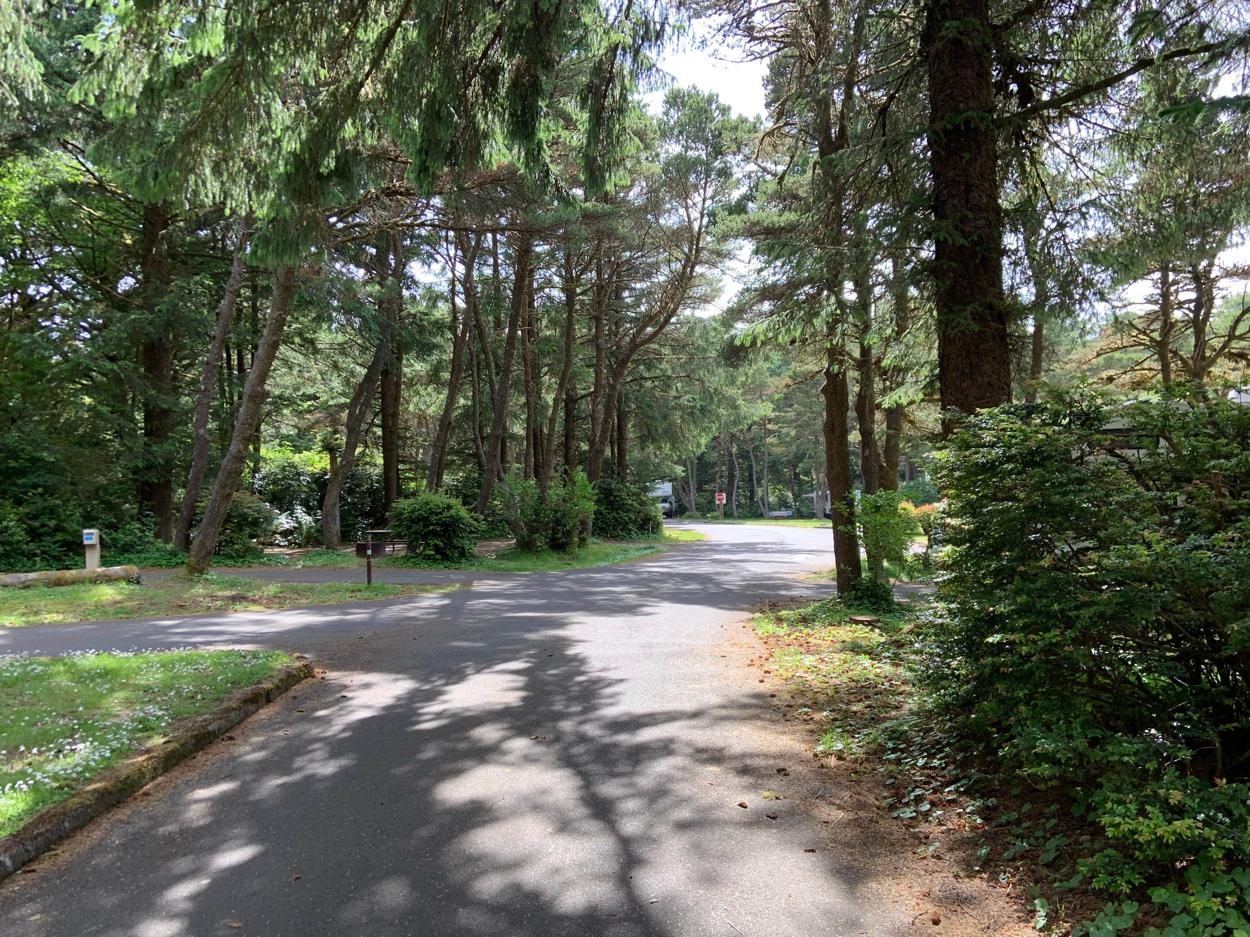 Carl G. Washburne Memorial State Park The Dyrt