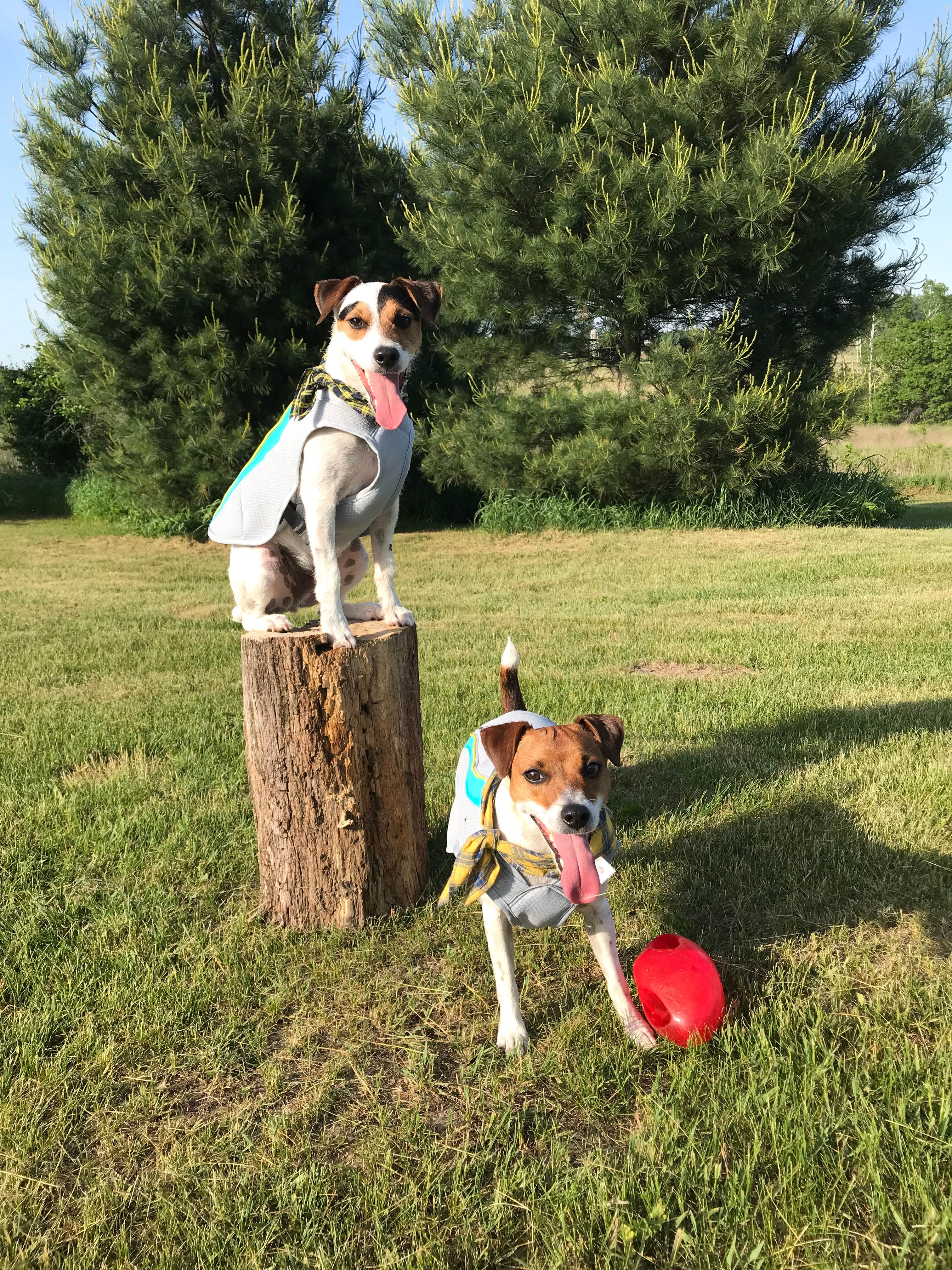 Camper-submitted photo at Yellowstone Lake State Park Campground near Dubuque, IA