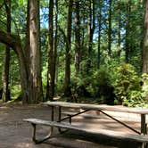 Review photo of Jessie M. Honeyman Memorial State Park Campground by Lauren A., July 4, 2021