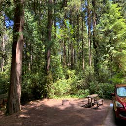 Jessie M. Honeyman Memorial State Park Campground