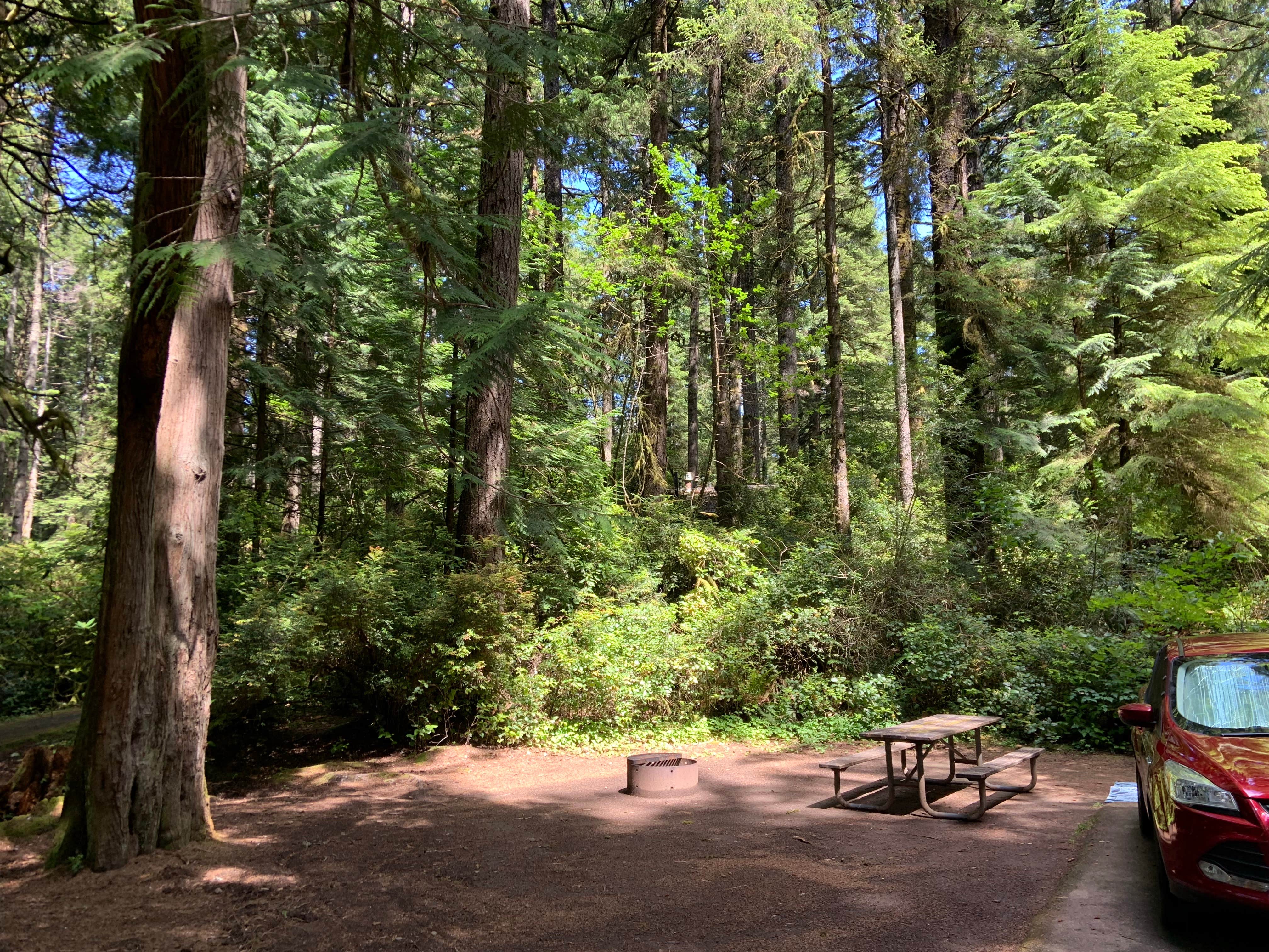 Camper submitted image from Jessie M. Honeyman Memorial State Park Campground - 1