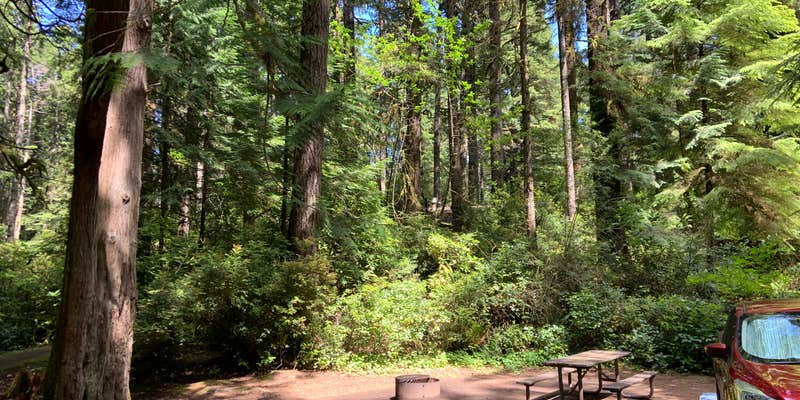 Camper submitted image from Jessie M. Honeyman Memorial State Park Campground