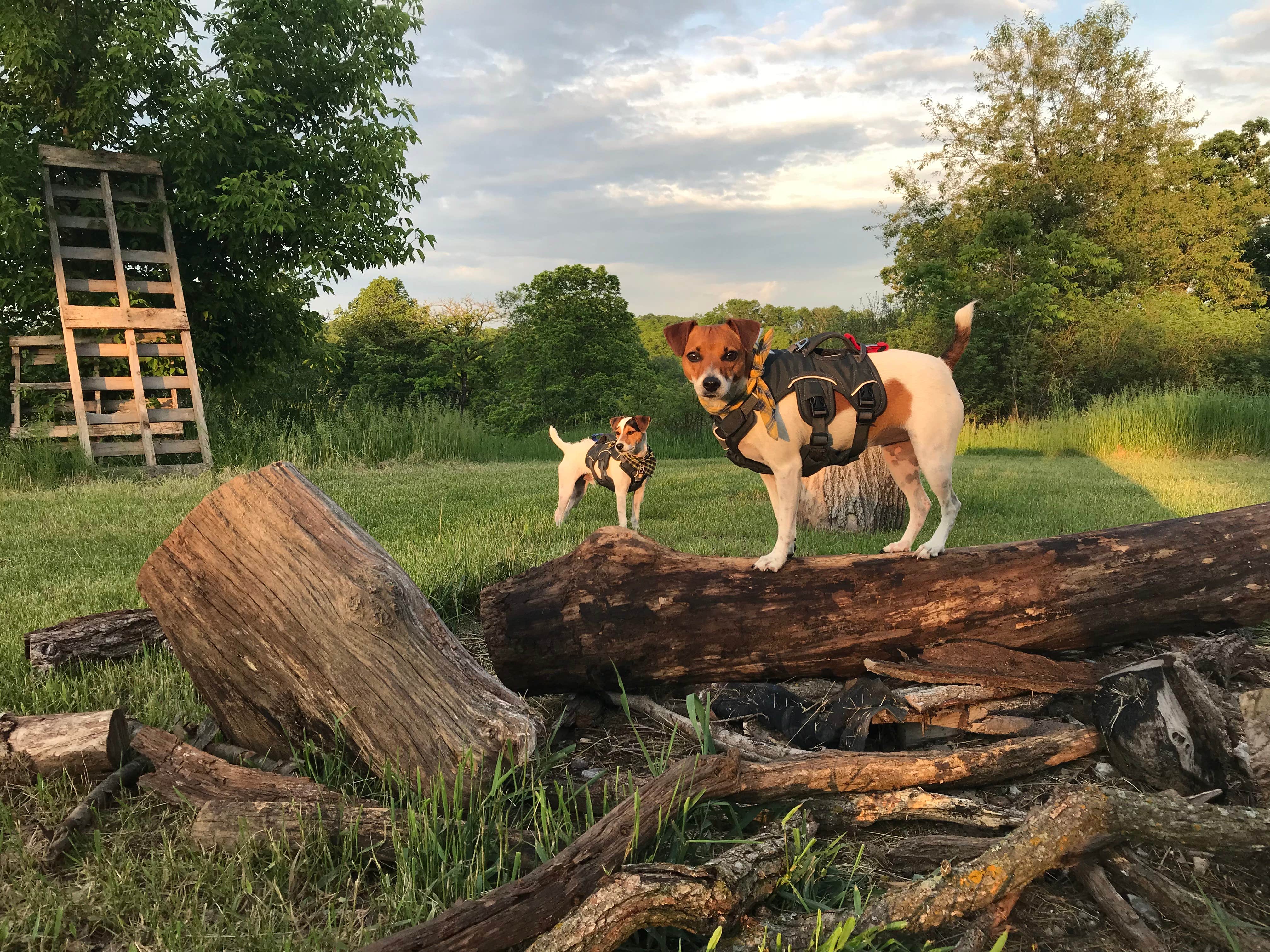 Camper-submitted photo at Yellowstone Lake State Park Campground near Dubuque, IA