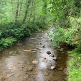 Review photo of Whittaker Creek Recreation Site by Lauren A., July 4, 2021