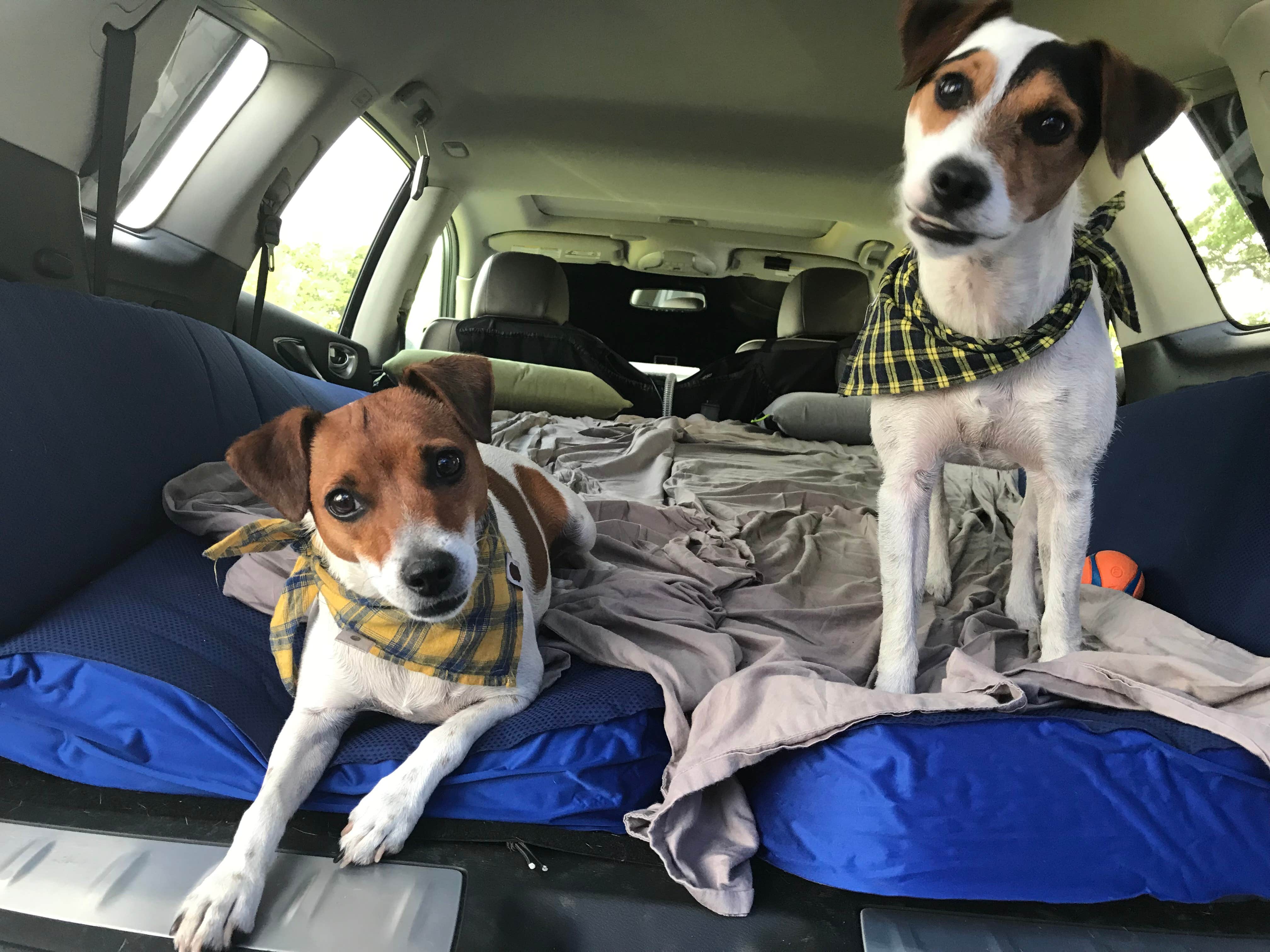 Camper-submitted photo at Yellowstone Lake State Park Campground near Belmont, WI