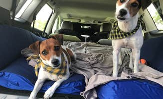Agapes D.'s photo of camping with pets at Yellowstone Lake State Park Campground near Platteville, WI