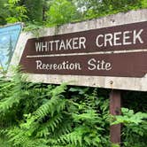 Review photo of Whittaker Creek Recreation Site by Lauren A., July 4, 2021