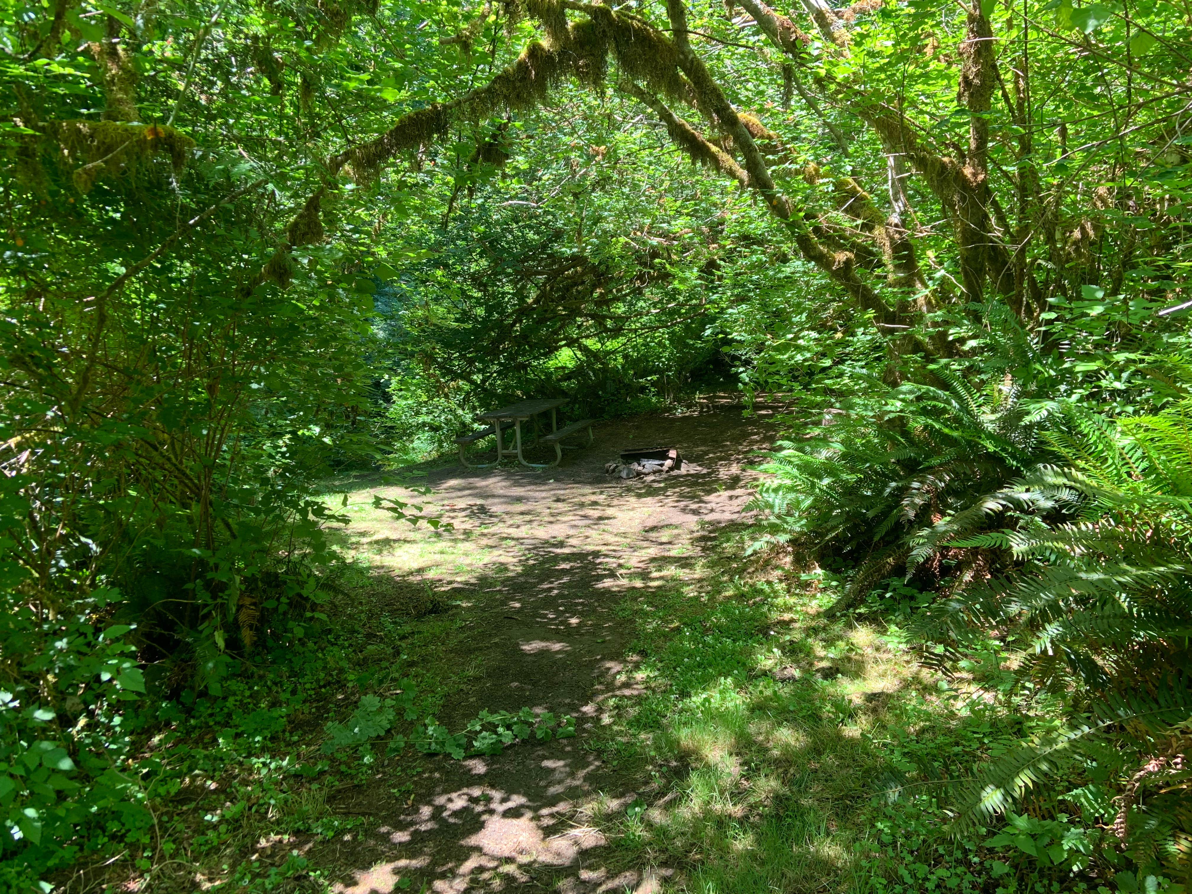 Camper submitted image from Clay Creek Recreation Site - 2