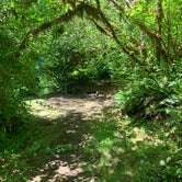 Review photo of Clay Creek Recreation Site by Lauren A., July 4, 2021