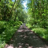 Review photo of Clay Creek Recreation Site by Lauren A., July 4, 2021