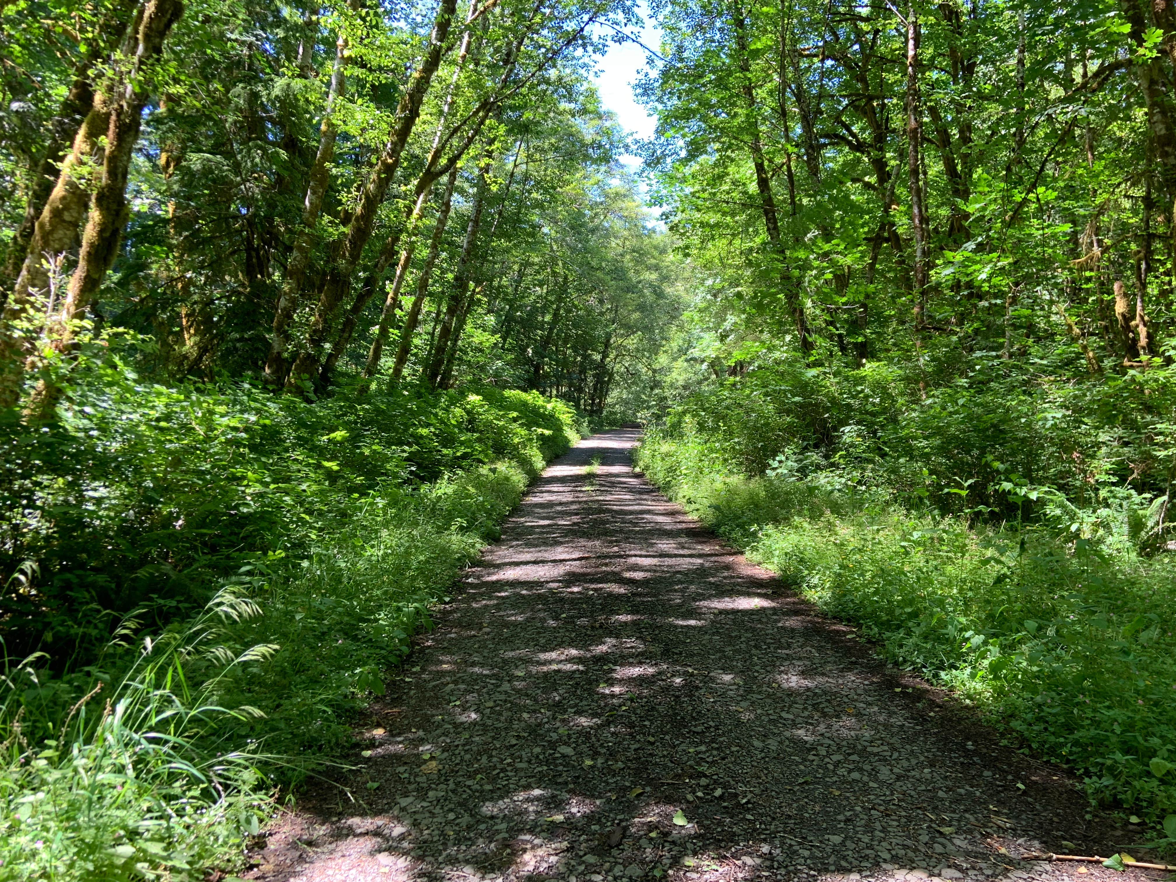 Camper submitted image from Clay Creek Recreation Site - 5