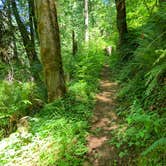 Review photo of Clay Creek Recreation Site by Lauren A., July 4, 2021