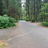 Review photo of Beverly Beach State Park Campground by Lauren A., July 4, 2021