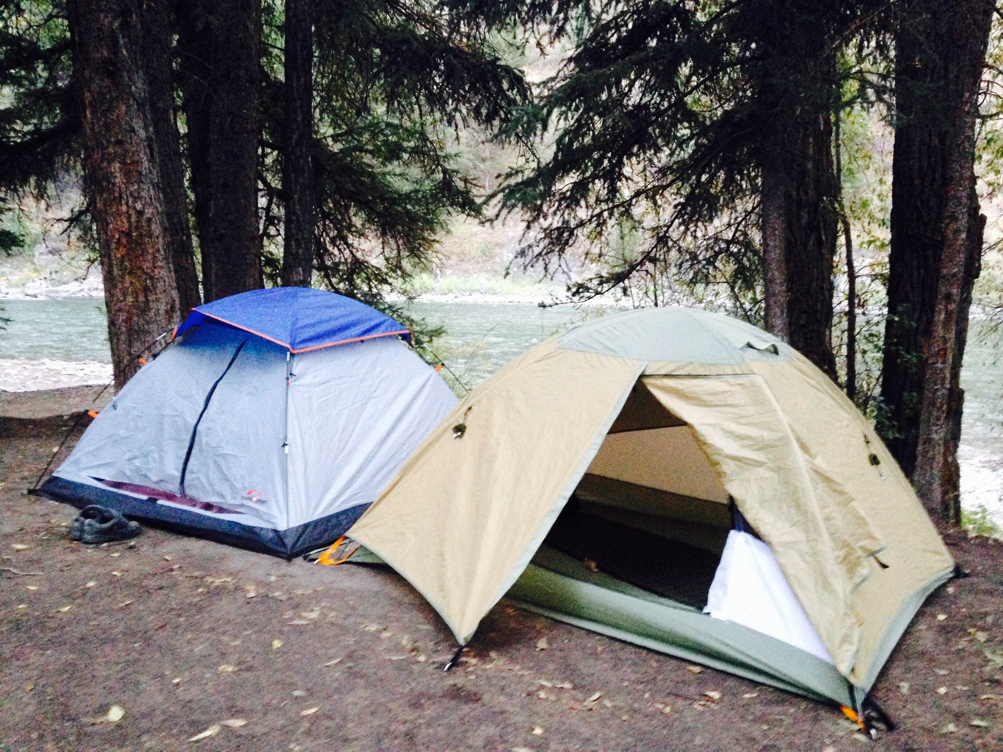 Mary S.'s photo at Jackson Hole/Snake River Park KOA near Jackson, WY