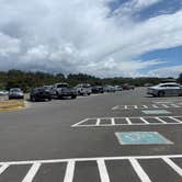 Review photo of South Beach State Park Campground by Lauren A., July 4, 2021